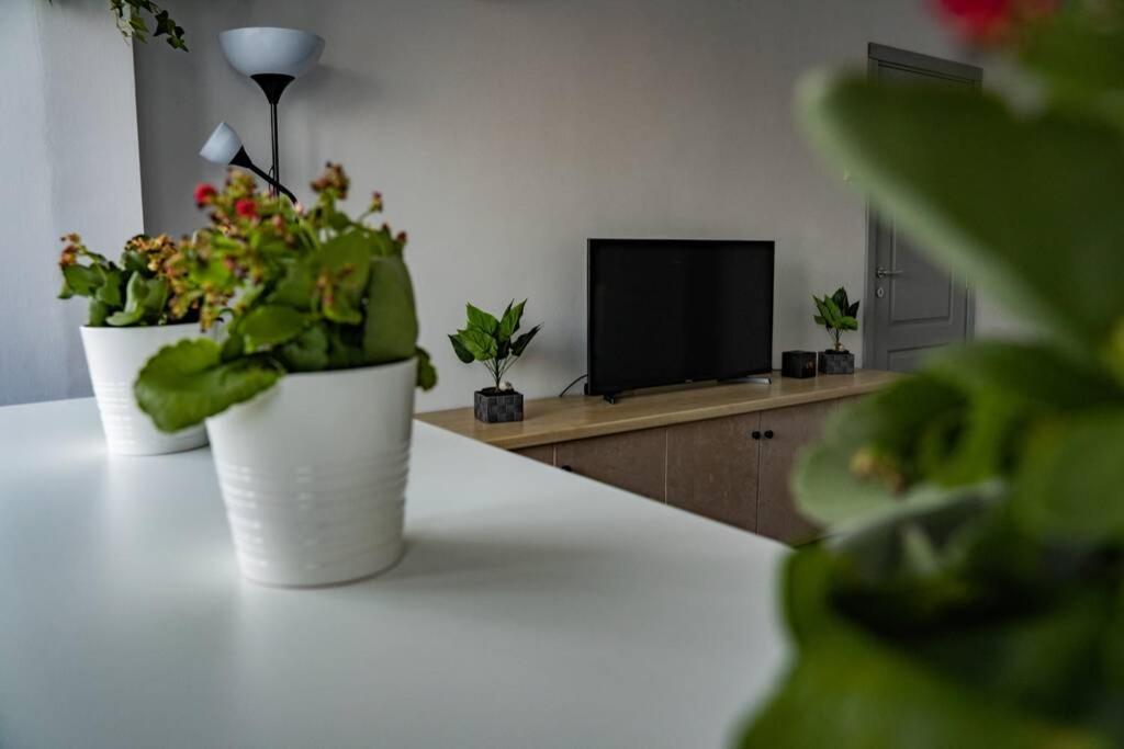 Modern 1 Bedroom Apartment In Bucharest Center! Ngoại thất bức ảnh